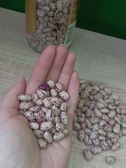 Квасоля на посадку Борлотто Фламінго