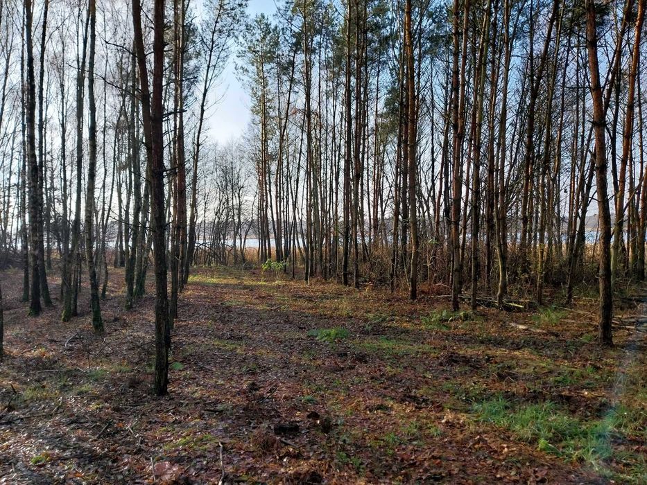 Działka budowlano-rekreacyjna 2000m2 z linią brzegową i lasem