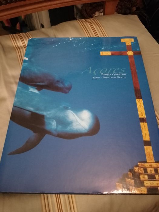 A%C3%A7ores+Peservar-1+edicao15E-Baleias+e+Golfinhos-Sequeira%2FFa.8E+Desde2E64176735992066120