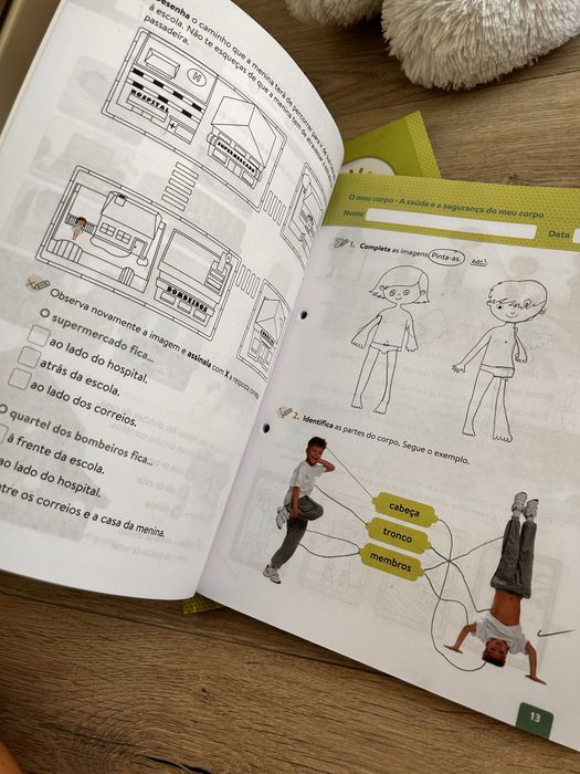 Manual e livros de fichas Estudo do meio 1 ano PLIM