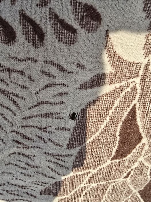 Prl koc 146cm na 185cm