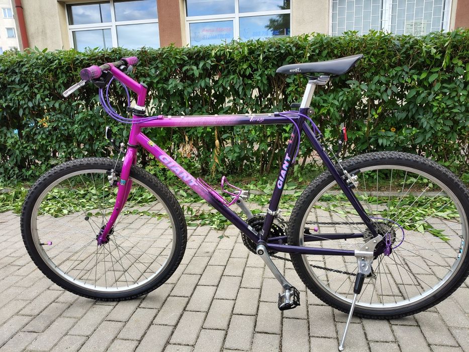 Giant Terrago retro MTB