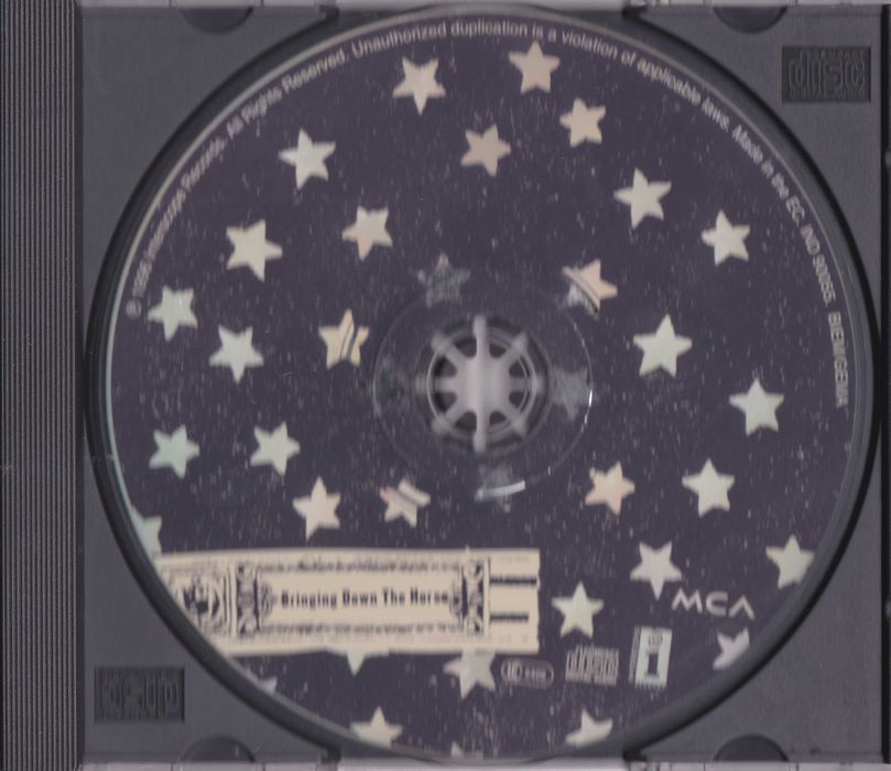 The Wallflowers – Bringing Down The Horse