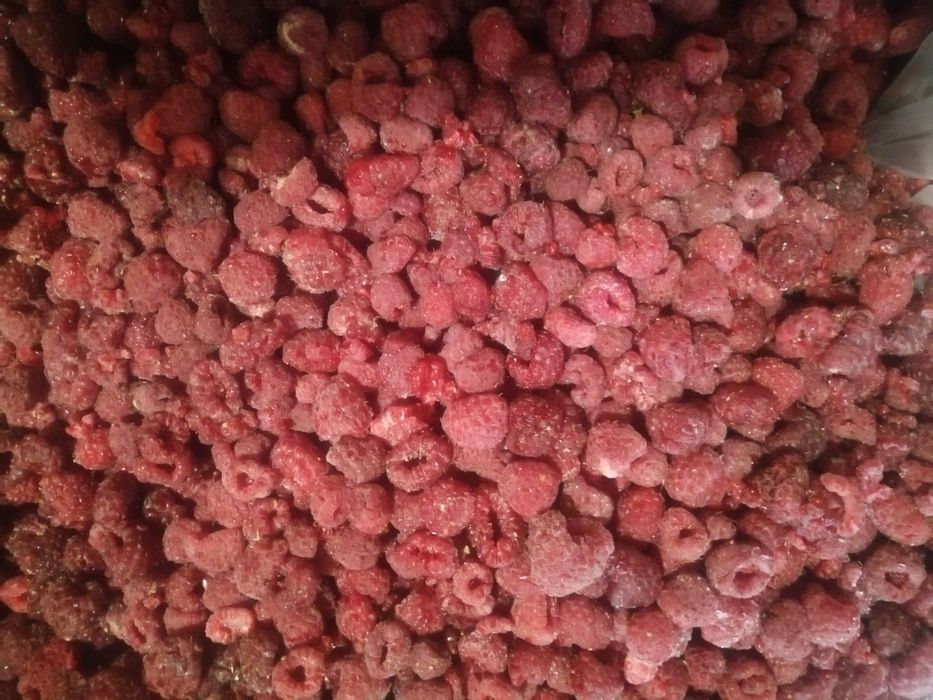 Продам сушку і заморозку ягід і фруктів