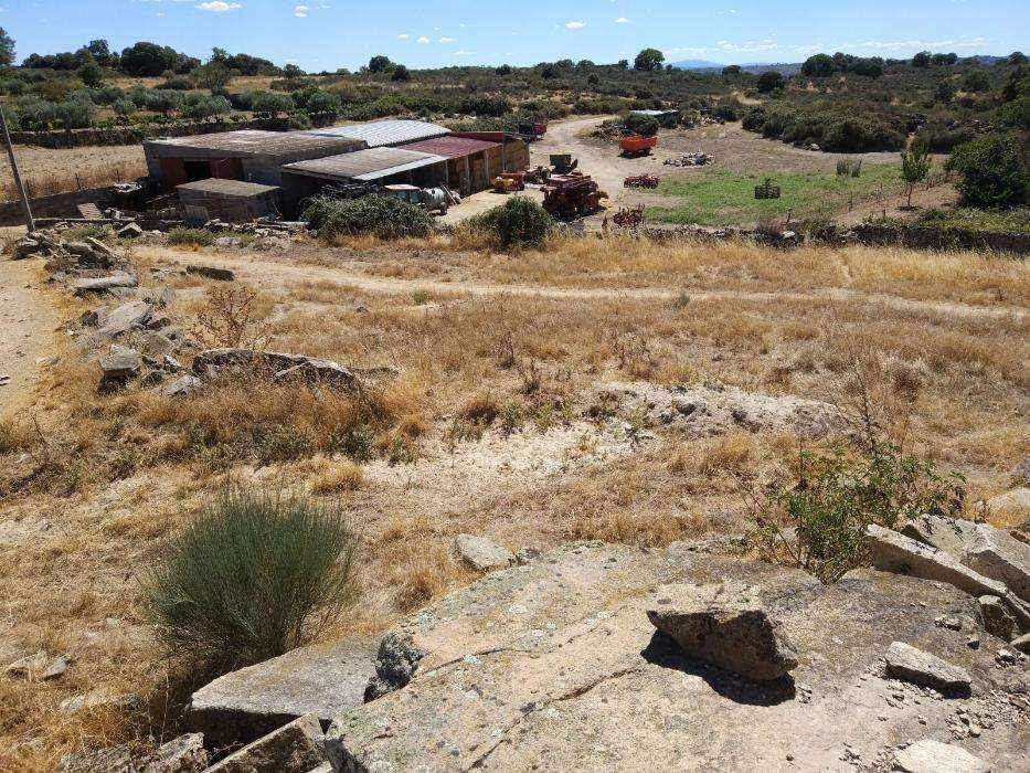 Terreno em Cinco Vilas 2428m2 - Fig Castelo Rodrigo/Guarda