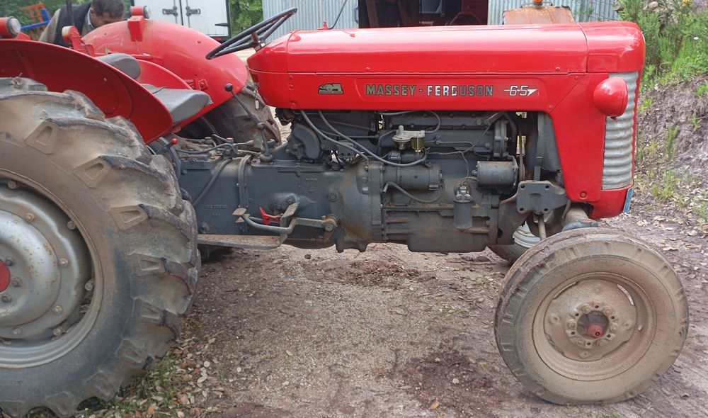 Massey fergus 65