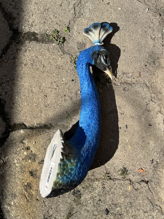 Dekoracja ścienna Peacock 16x68 cm niebieska
