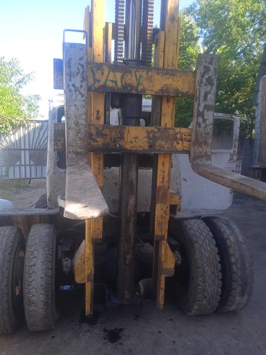 Погрущик пититоний