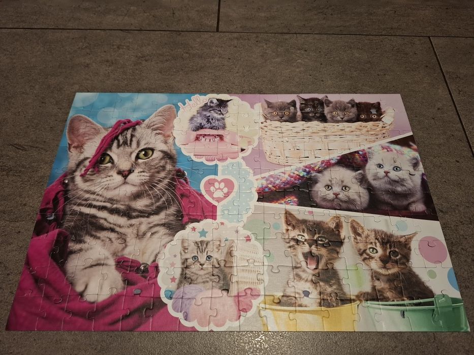 Puzzle 160 sztuk kotki
