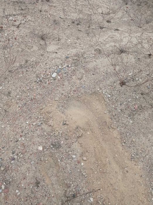 Sprzedam grunt 6,70 ha pod żwirownię – dokumentacja geologiczna