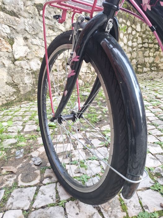 Bicicleta adriática