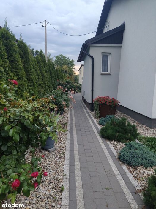 Dom wolnostojący