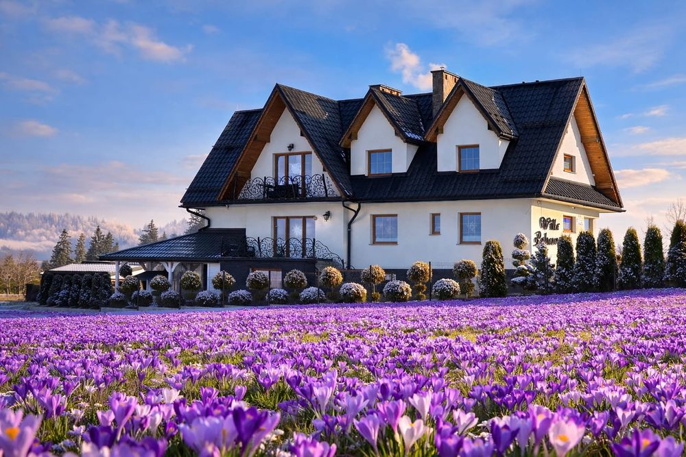 KROKUSY Wielkanoc Termy Chocholowskie  Sauna Masaż na Święta z wodokie