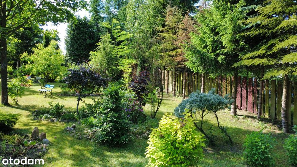 Cisza i spokój