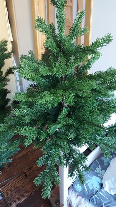 Ялинка (український виробник)