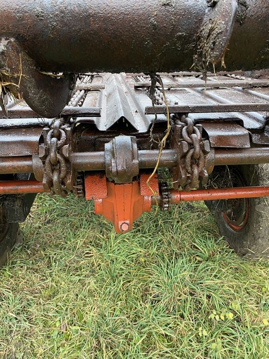 Роу 6 доглянутий