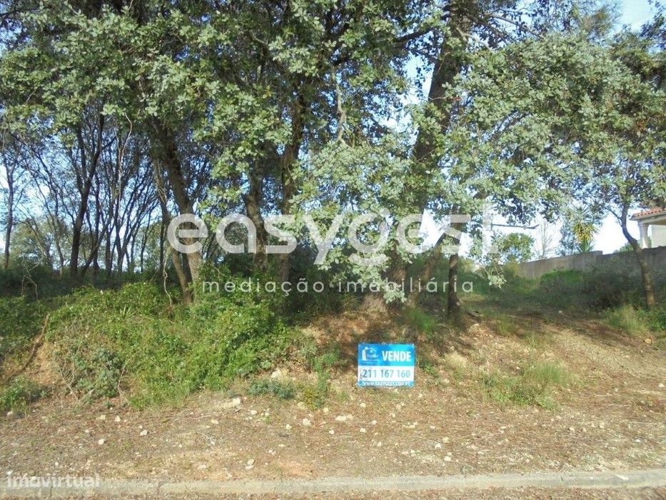 Terreno Urbano localizado a 5 minutos da Cidade Templária — Casais E Alviobeira, Santarém