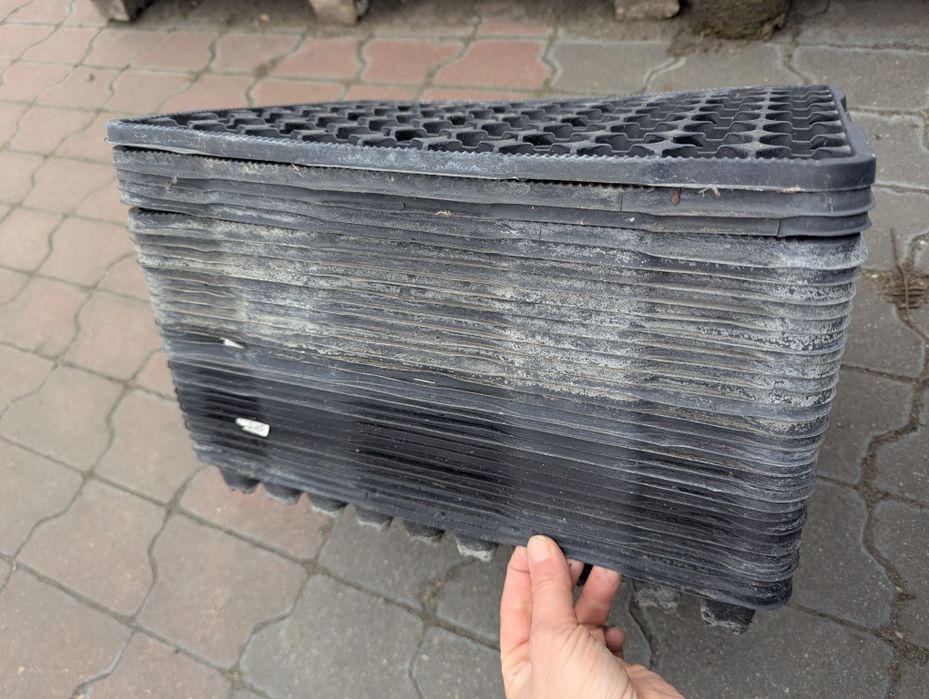 Wielodoniczki / multiplaty