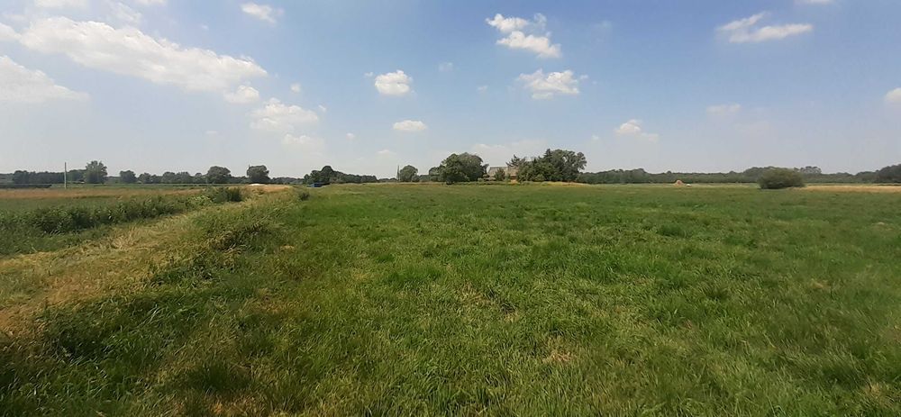 Działka rolna- łąka.