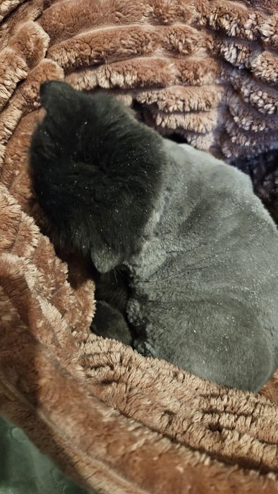 Podaruj dom cudownej Noe