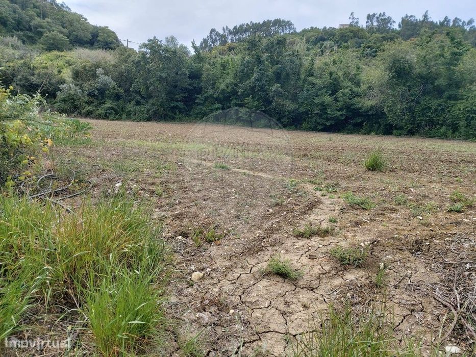 Terreno  para venda