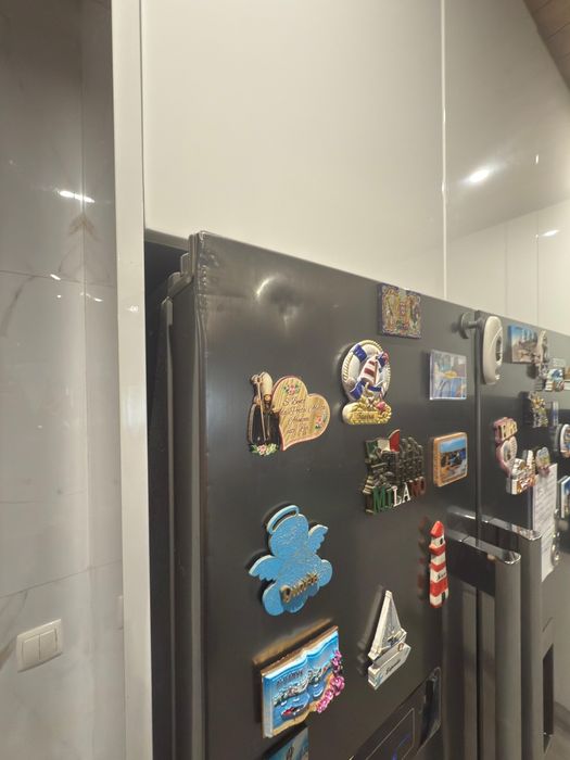 Frigorífico americano becken