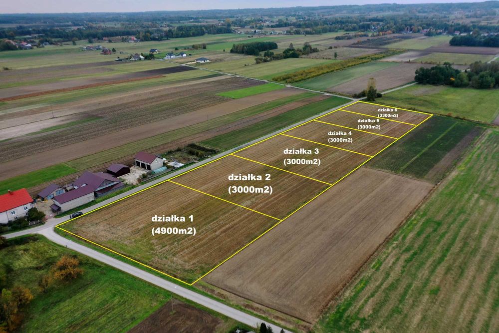 Działka pod dom 3000m2 - Janina gm. Busko-Zdrój