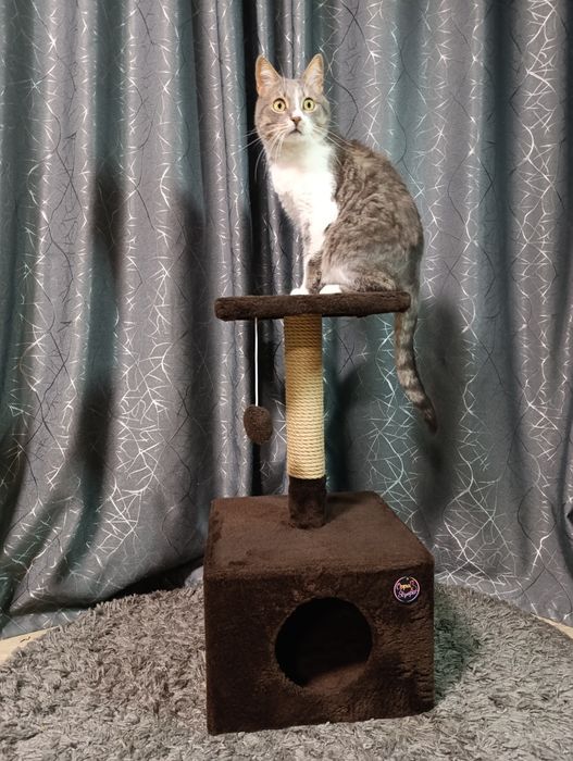 Домик когтеточка для кота кошки