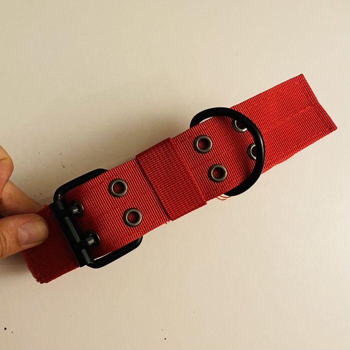 Coleira Vermelha Cão Médio/Grande | Ajustável | Nova