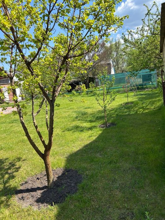 Продаж дачі в СТ "Наука" поряд з затокою р. Псел