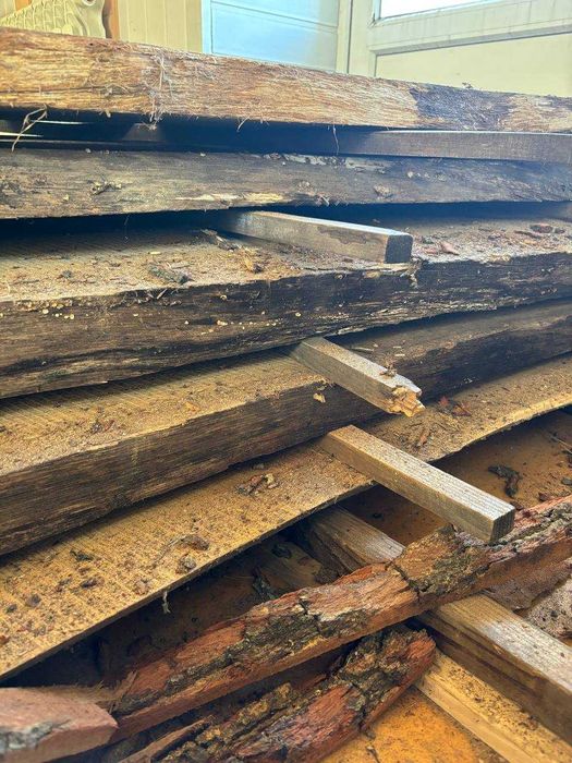 Сушка деревини дуб бук ясень продаж дошки дуб горіх