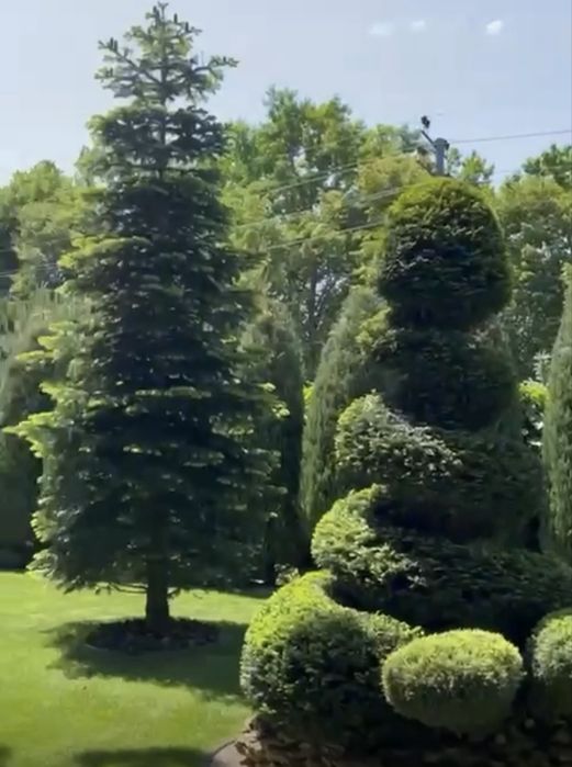 Аренда роскошного дома в элитном поселке Сосновый Берег