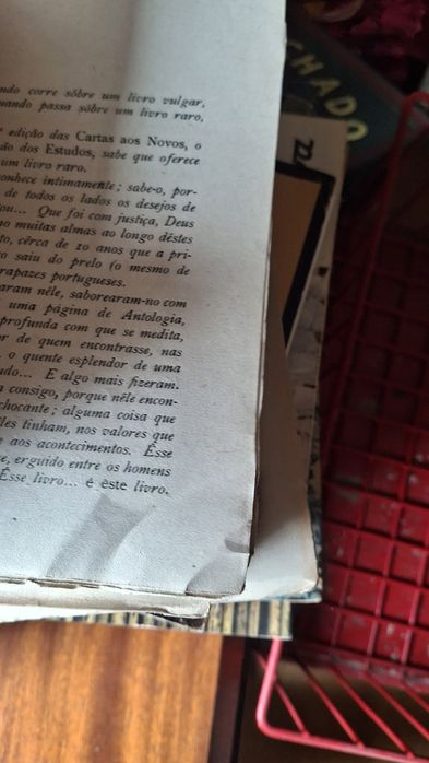 Cartas dos Novos doutor Gonçalves Cerejeira
