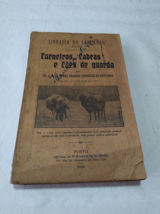 Carneiros, Cabras e Cães de Guarda de Dr. J. M. da Cunha Fajardo Ortigósa
