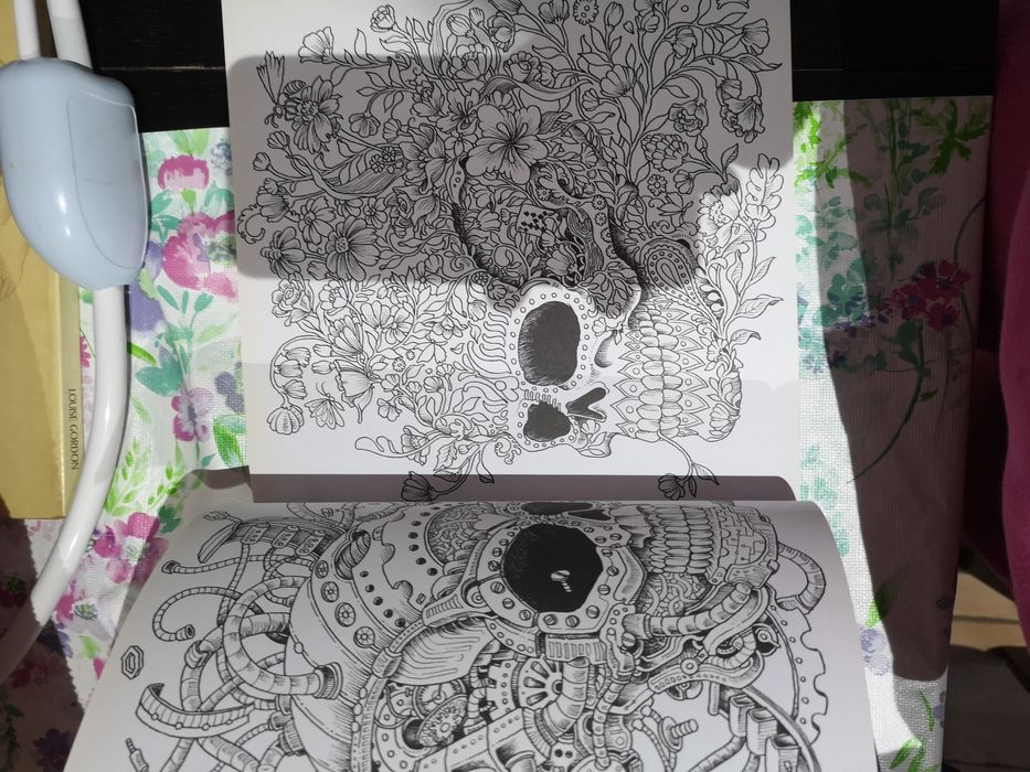 Imagimorphia livro de colorir