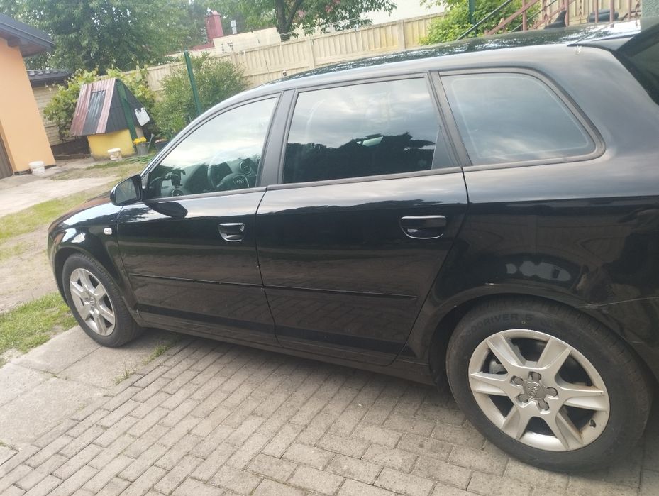 Audi A3 8P 2.0 TDI