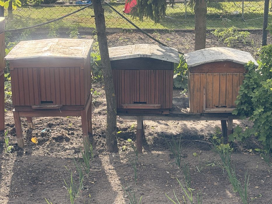 Ule 6szt jeden 250zl