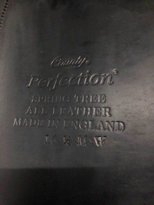 Sela County Perfection para ensino/dressage