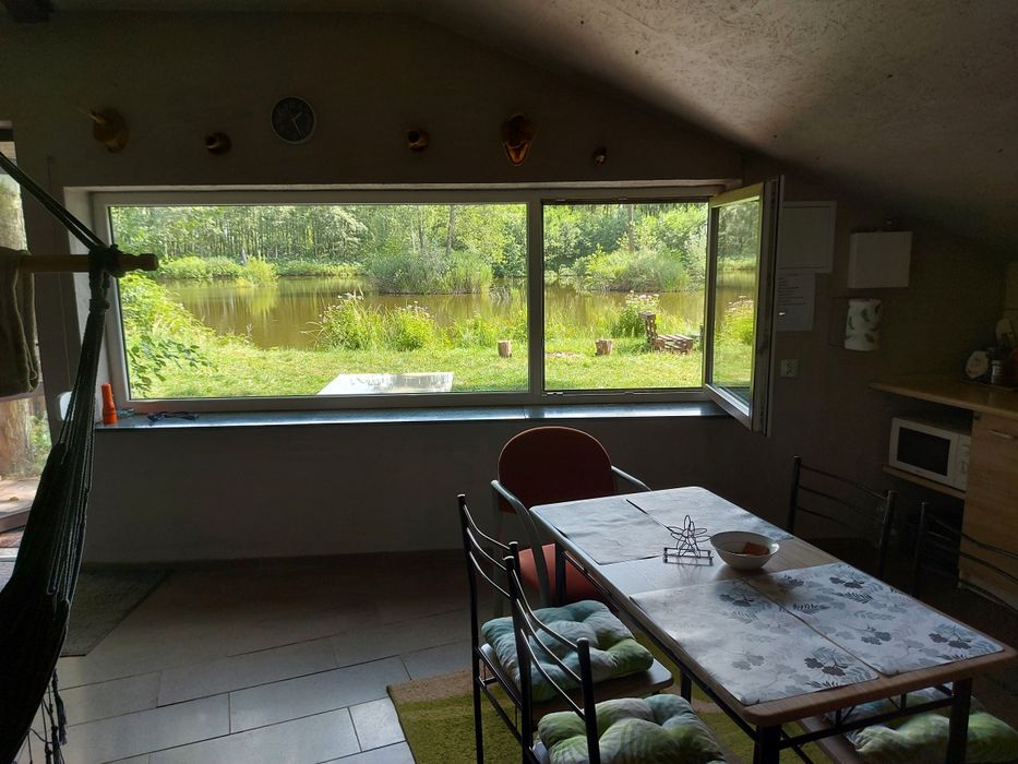 Domek nad stawem w lesie z dala od domów