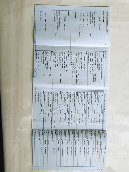 Продам цуценят породи РЄЛ від робочих дипломних собак з документами.