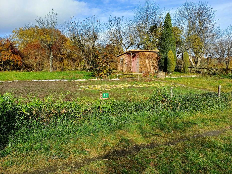 Duża działka ROD Mazur