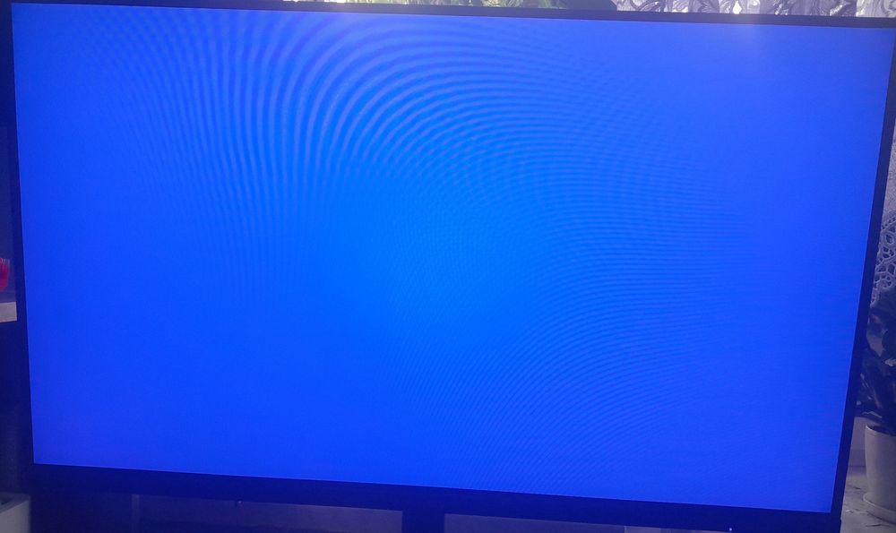 Monitor krugerimartz