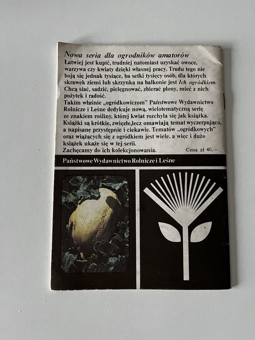 Warzywa o największych owocach dynie Melon Kawon