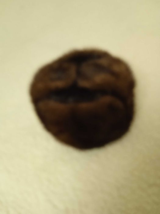 Шапка норкова чоловіча 57-58р. Обманка (не відкочується) нова.