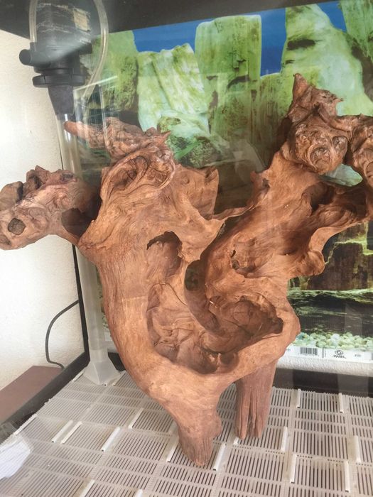 Aquario, Juwel vision 260