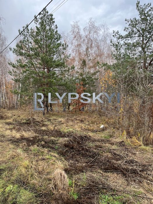 Казкова ділянка біля лісу