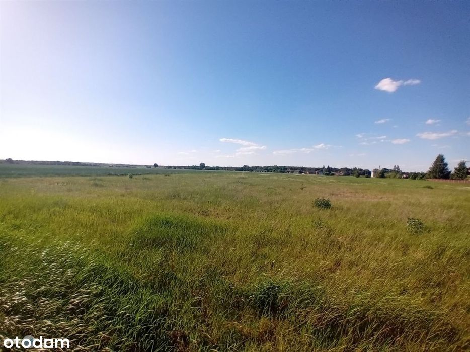 6 działek, 2 budynki letniskowe, 2 min JuraPark! - Widok 6