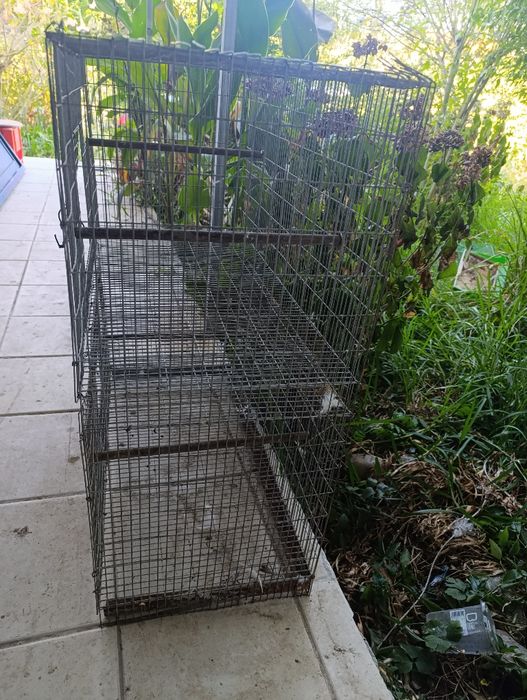 Gaiolas em módulos