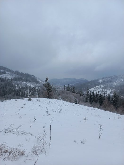 Продається земельна ділянка для ведення садівництва