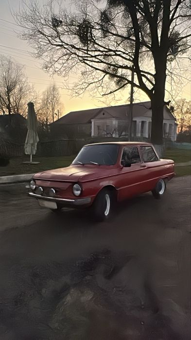 Продам зазіка легенду